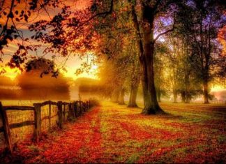 Les énergies d’octobre 2018 et code de lumière par Les Pléiadiens